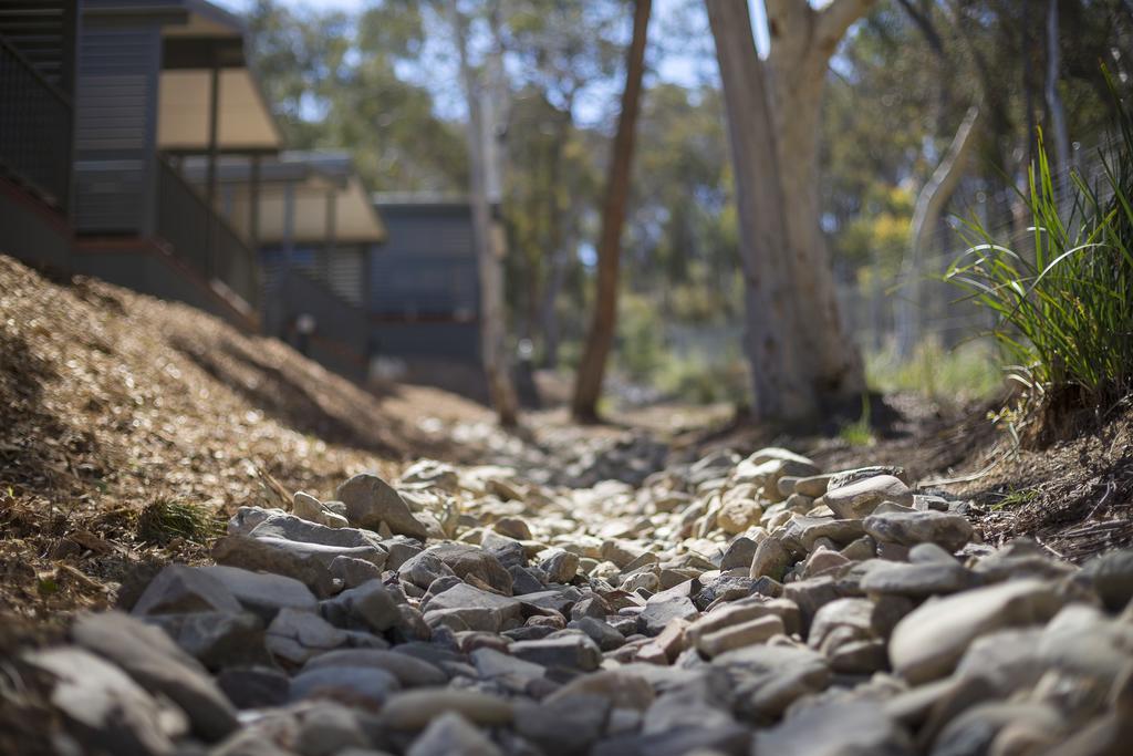 Alivio Tourist Park Canberra Exterior photo